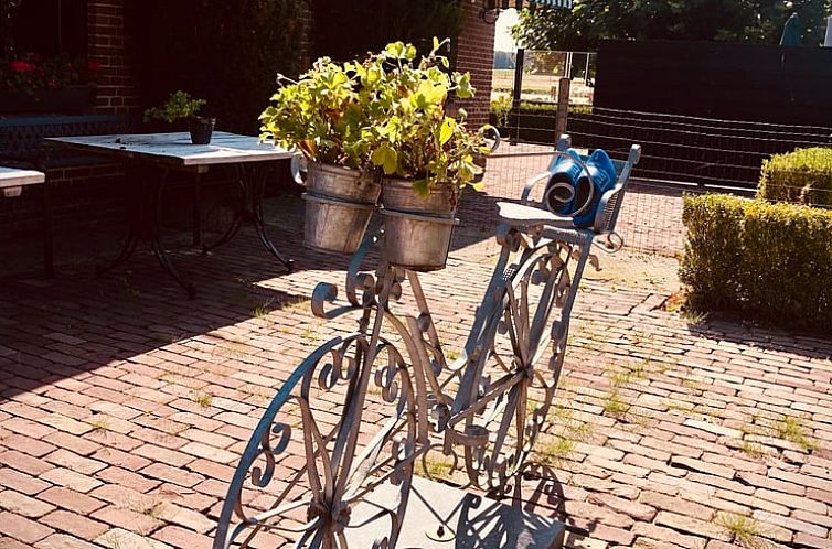 Vakantiehuisje in Zuidveld