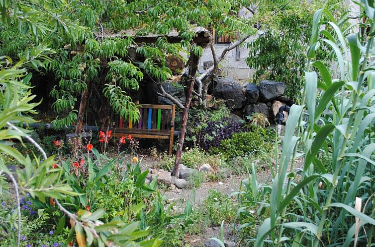Hostal Casa Amaya