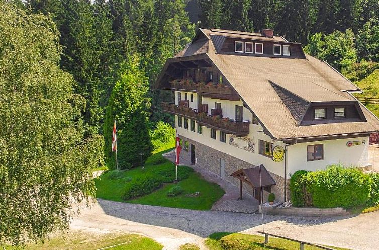 Unterkunft 17911406 - Ferienhaus Kärnten - Pension Almhof