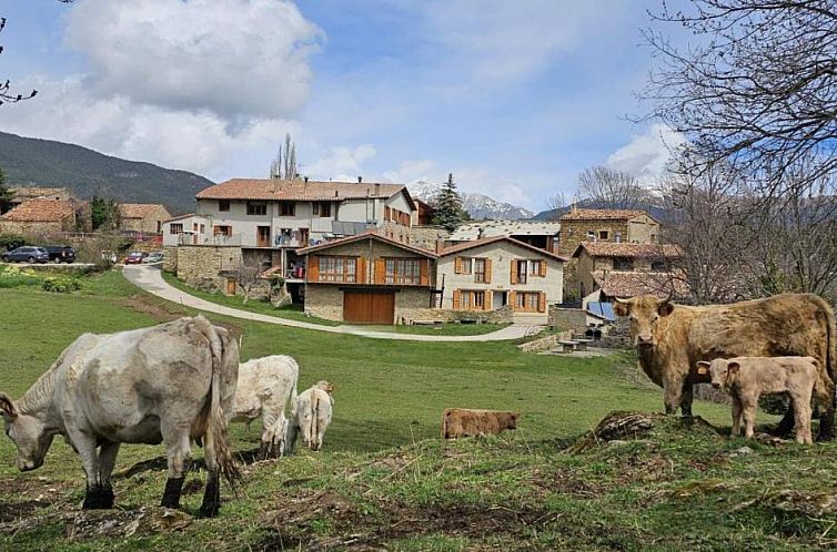 Can Tubau