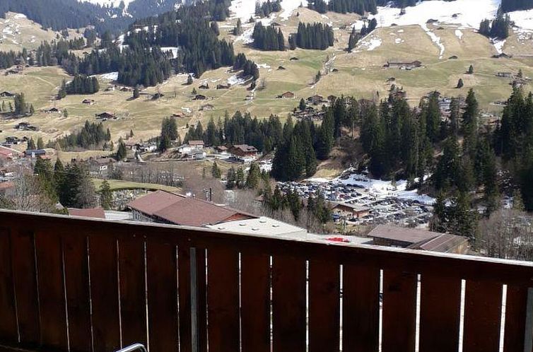 Appartement Adlerhorst