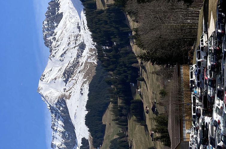 Appartement Wildbach