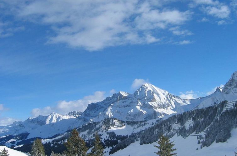 Appartement Am Gilsbach 2