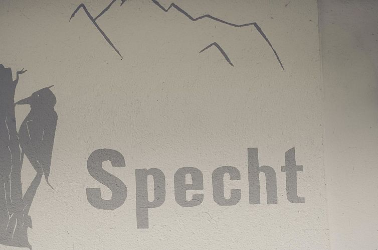 Appartement Chalet Specht