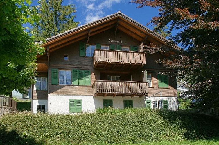 Unterkunft 1800225 - Appartement Berner Oberland - Appartement Haldematt