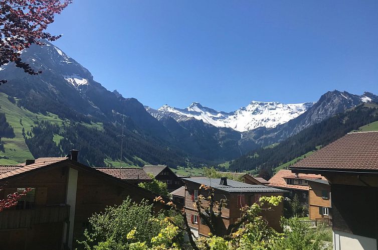 Appartement Haldematt
