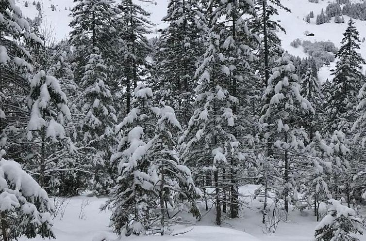 Vakantiehuis Panorama Adelboden