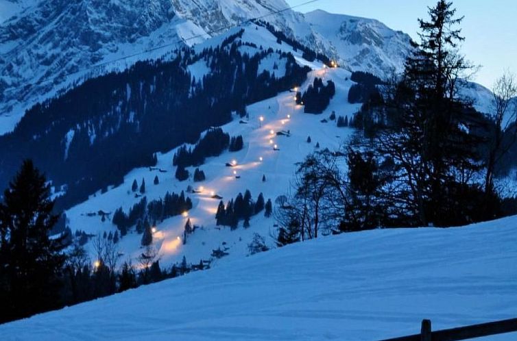 Vakantiehuis Panorama Adelboden