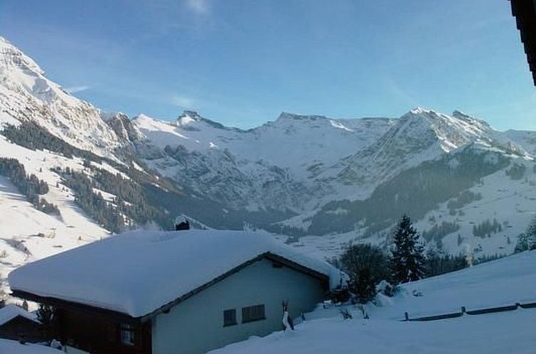 Vakantiehuis Panorama Adelboden