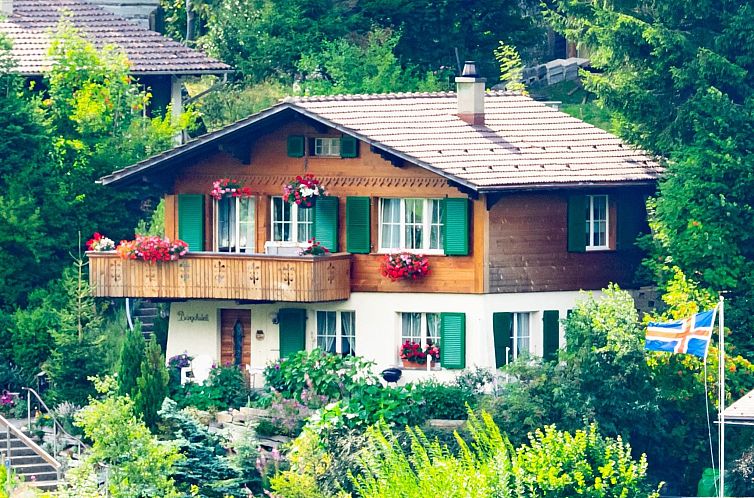 Appartement Bärgchutzli 1. Stock