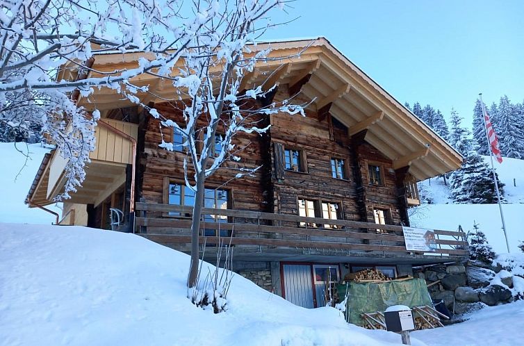 Appartement Alpen Vista