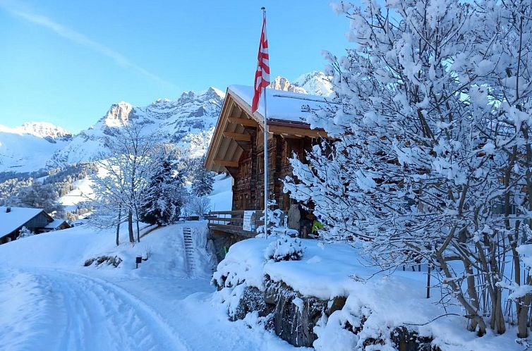 Appartement Alpen Vista