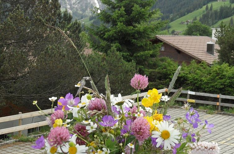 Appartement Sunnegruess