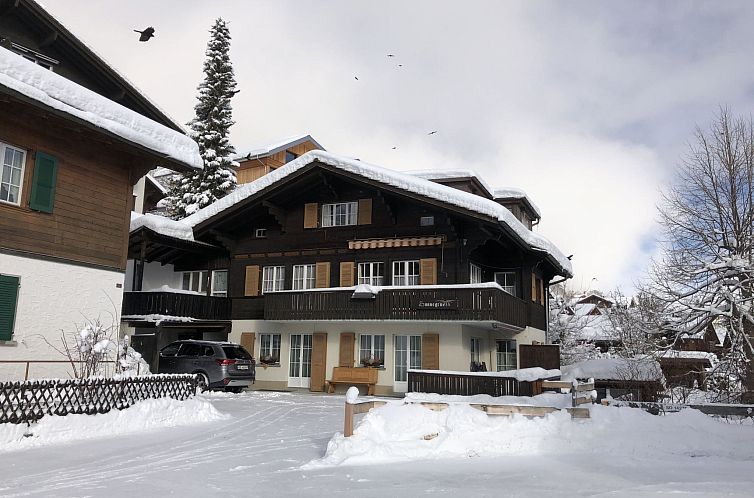 Appartement Sunnegruess