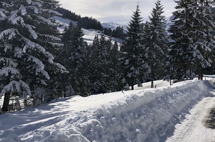 Appartement Sunnegruess
