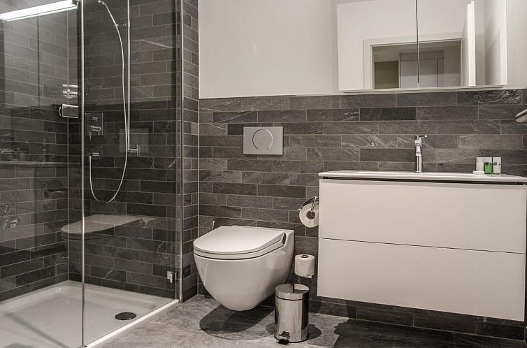 Appartement Apartment JungfrauCenter Roteflue