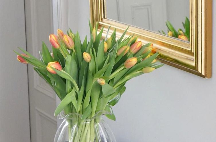 Appartement Villa Salve
