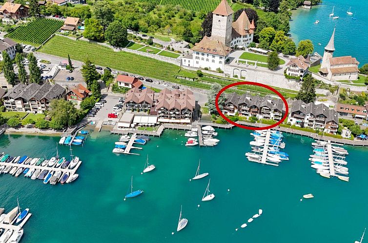 Guest house 1800906 - Apartment Berner Oberland - Appartement Seewohnung 1