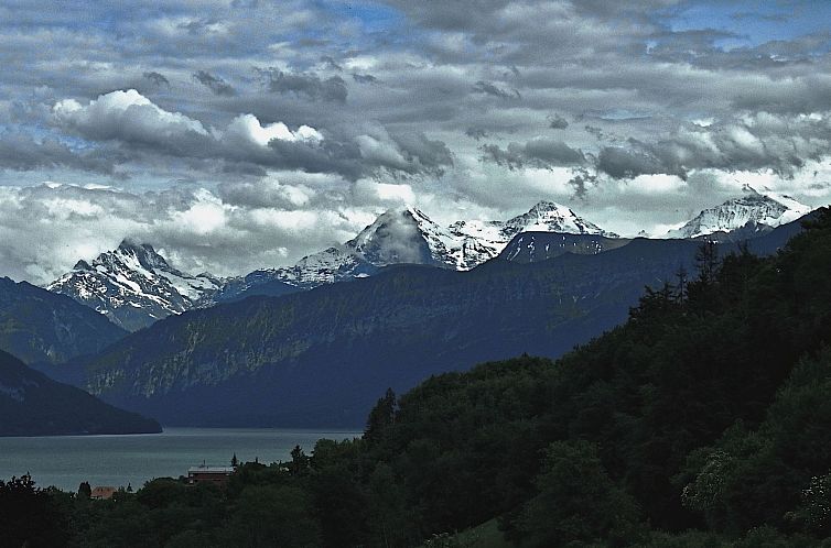 Appartement Seepark, direkt am See