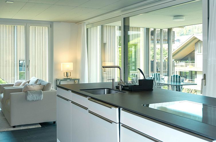 Appartement Schlossblick