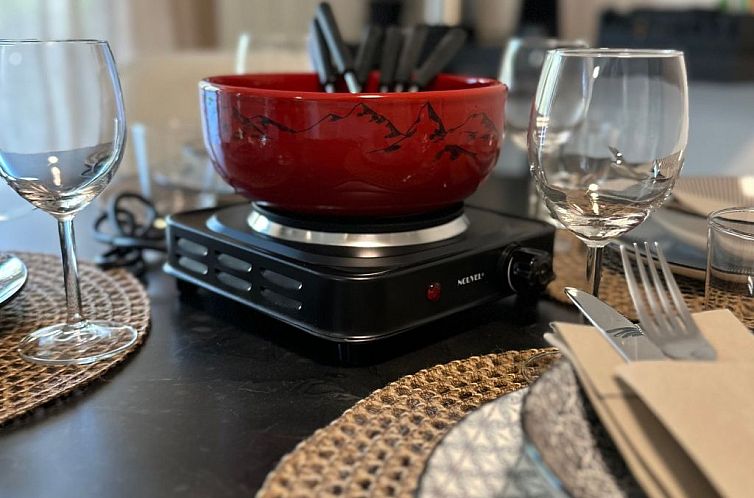 Appartement Thuner See, nahe Interlaken, für Familien, Wifi