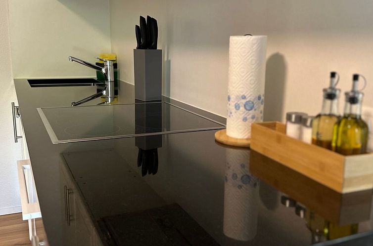 Appartement Thuner See, nahe Interlaken, für Familien, Wifi