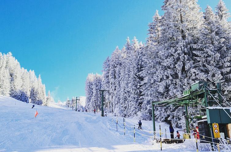 Appartement Lilo/Studio