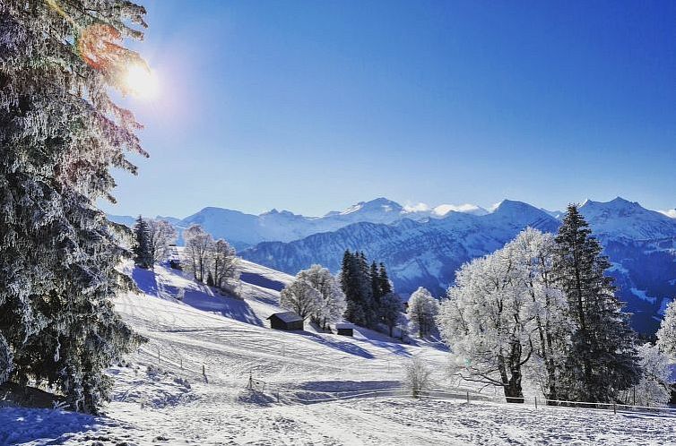 Appartement Lilo/Studio
