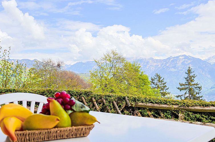 Appartement Chalet Schöpfli