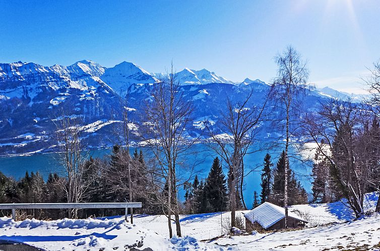 Appartement Berg-Seeblick