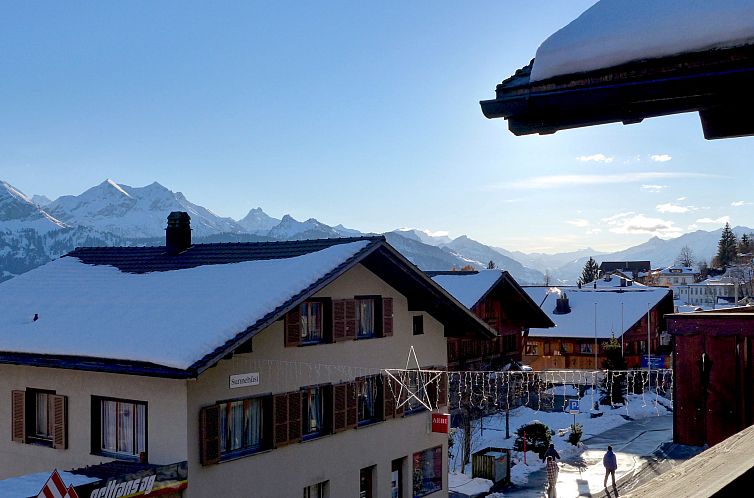 Appartement Chalet Burgfeld