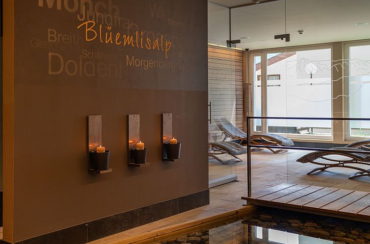 Appartement Wohnung Edelweiss direkt in 4 Sterne Hotel