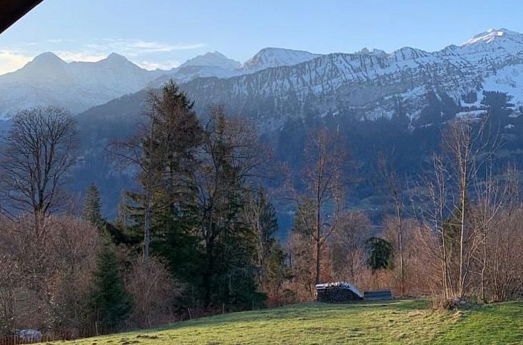 Vakantiehuis Chalet Felsli