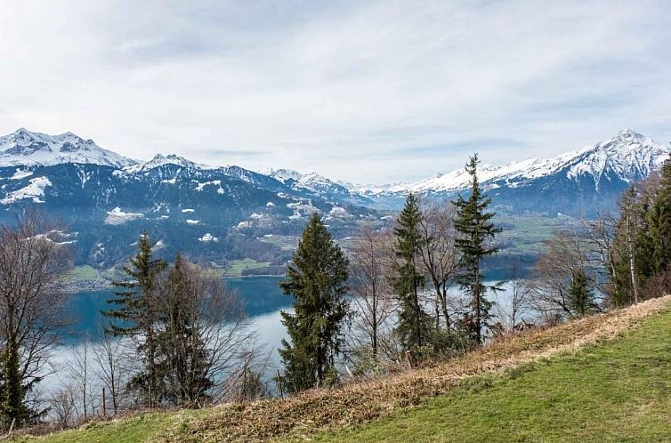 Appartement Apartment Alpenrose 2.5 mit Mitbenutzung SPA & W