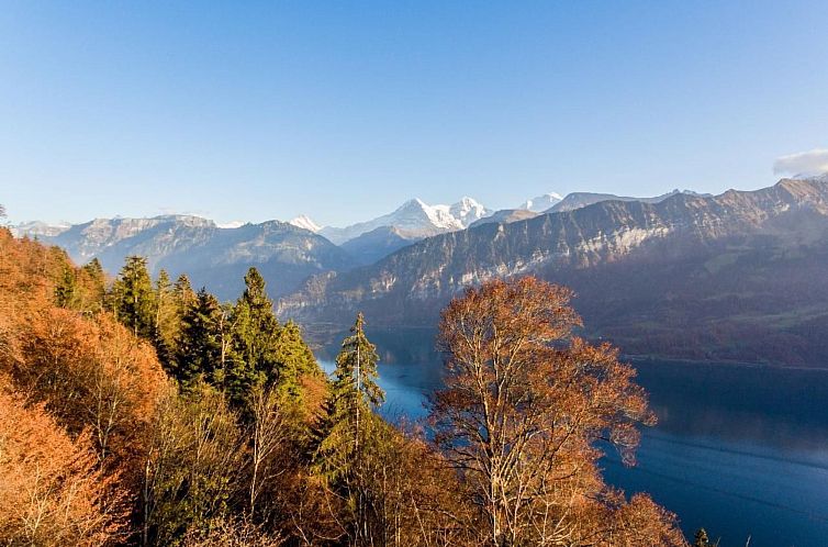 Appartement Apartment Alpenrose 2.5 mit Mitbenutzung SPA & W