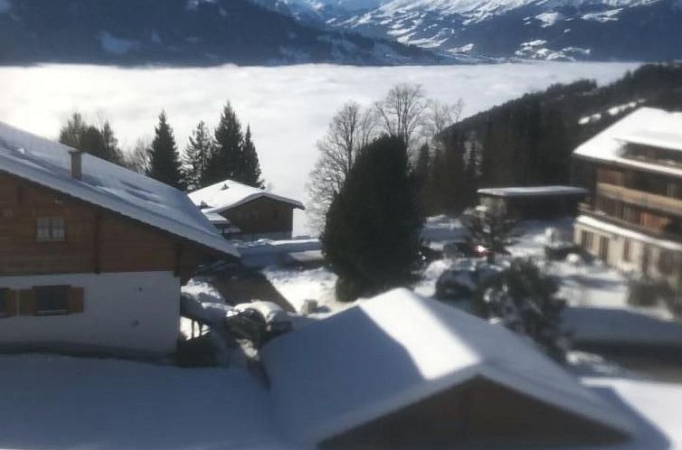 Appartement Chalet Friedheim