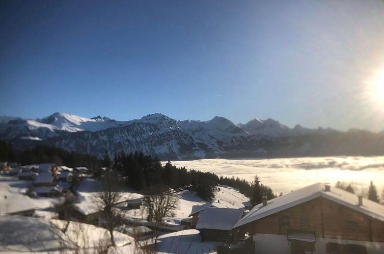 Appartement Chalet Friedheim