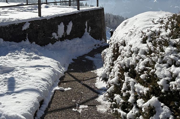 Appartement Chalet Friedheim