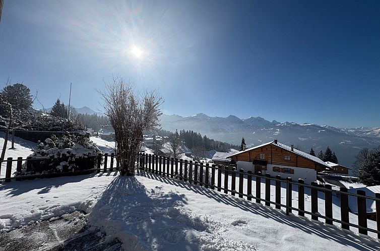 Appartement Chalet Friedheim