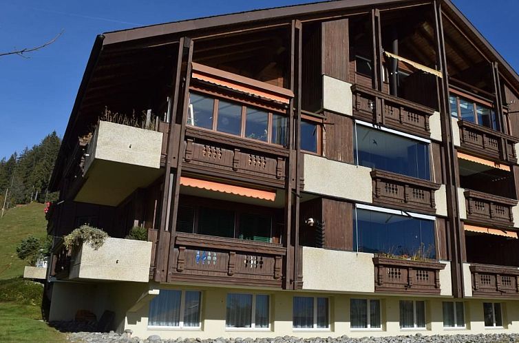 Appartement Haus Ahorni