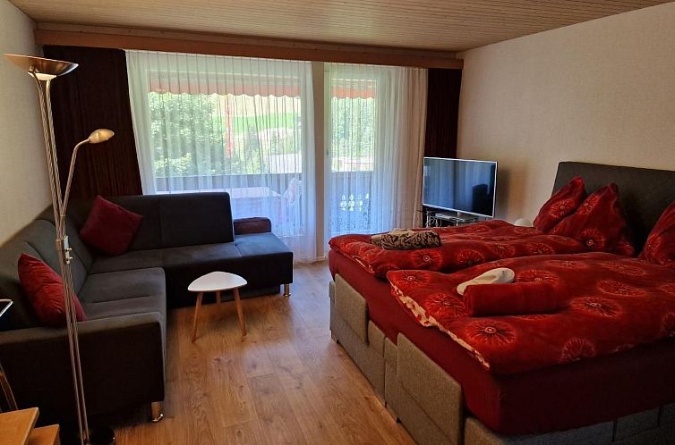 Appartement Haus Ahorni