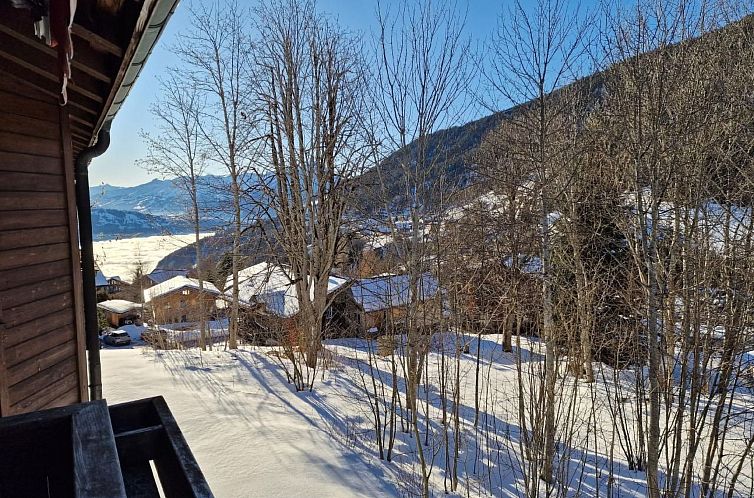 Appartement Haus Ahorni