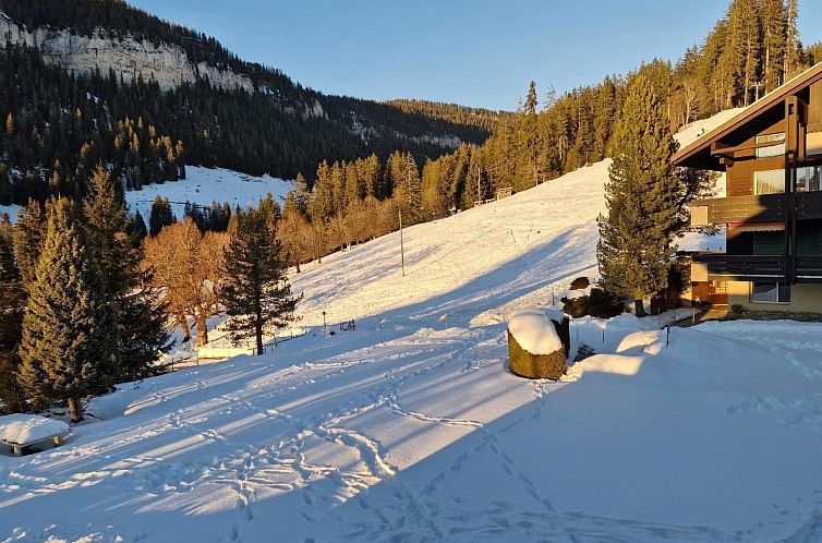 Appartement Haus Ahorni