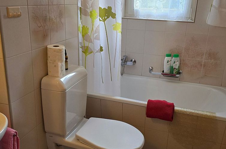 Appartement Haus Ahorni