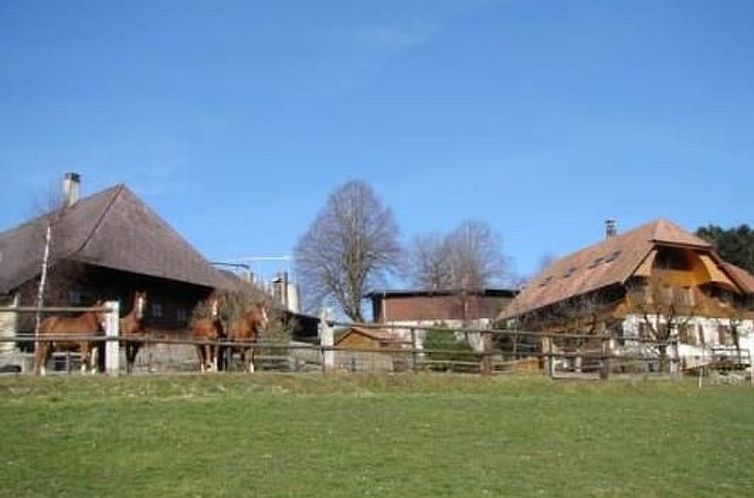 Appartement Muessache