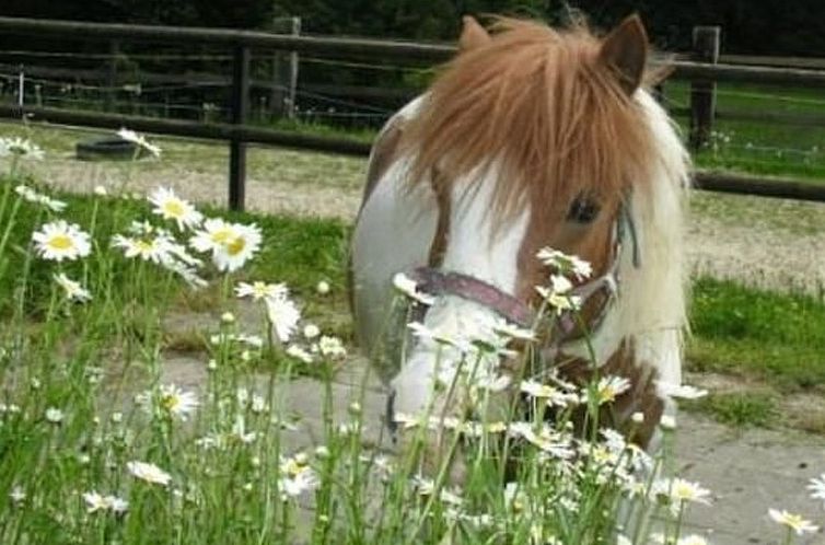 Appartement Muessache