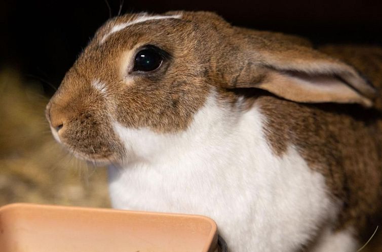 Appartement Muessache