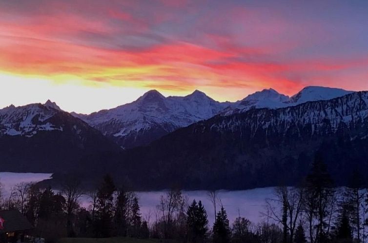 Vakantiehuis Einzigartige Holzhütte mit Bergpanorama