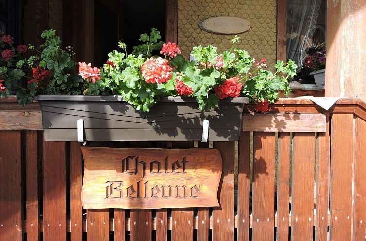 Appartement Berg- und Seeblick