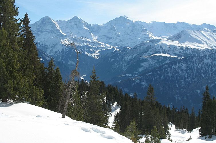 Appartement Berg- und Seeblick